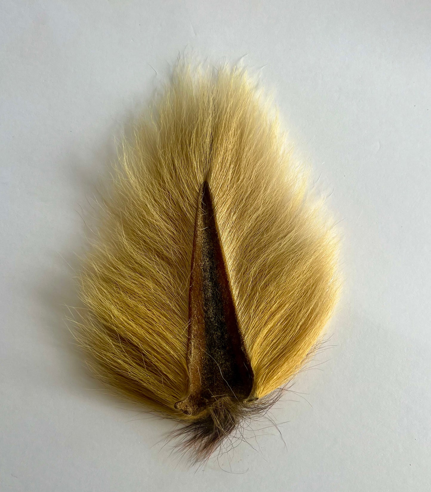 Large Bucktail Sucker