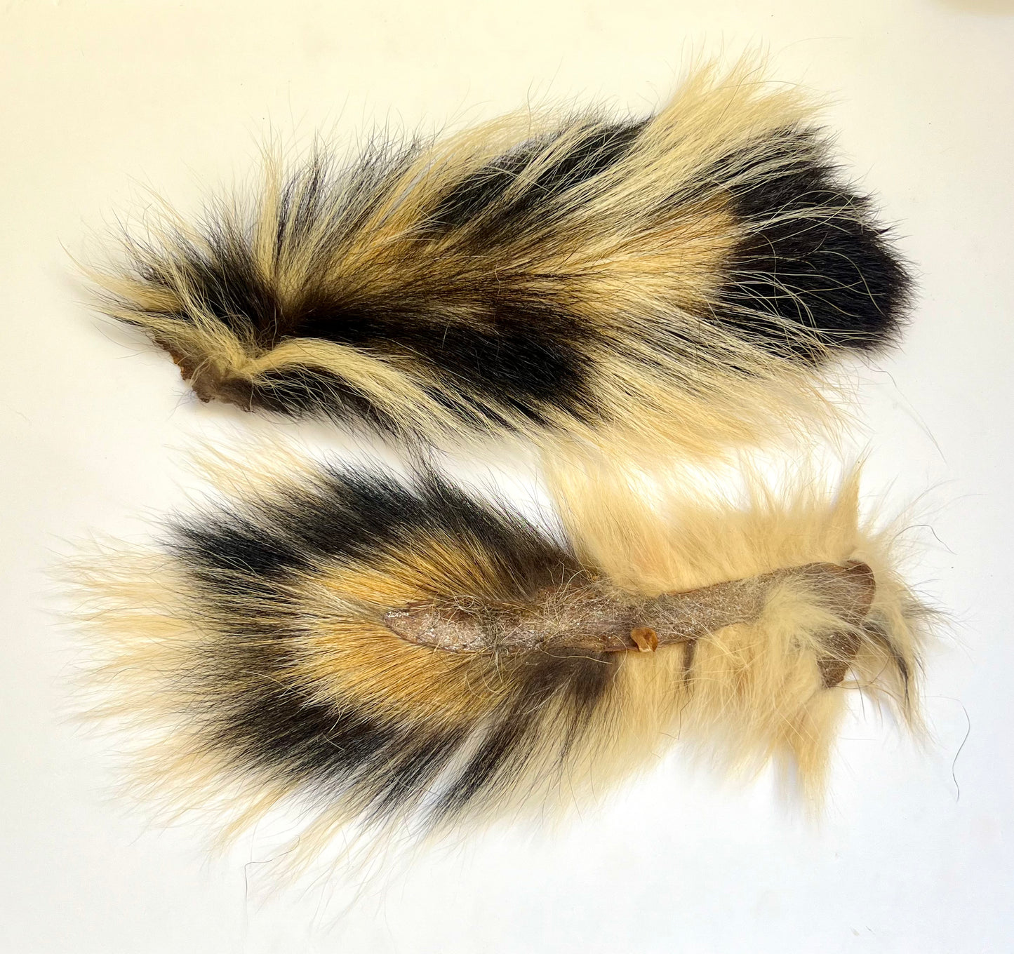 Premium Skunk Tail