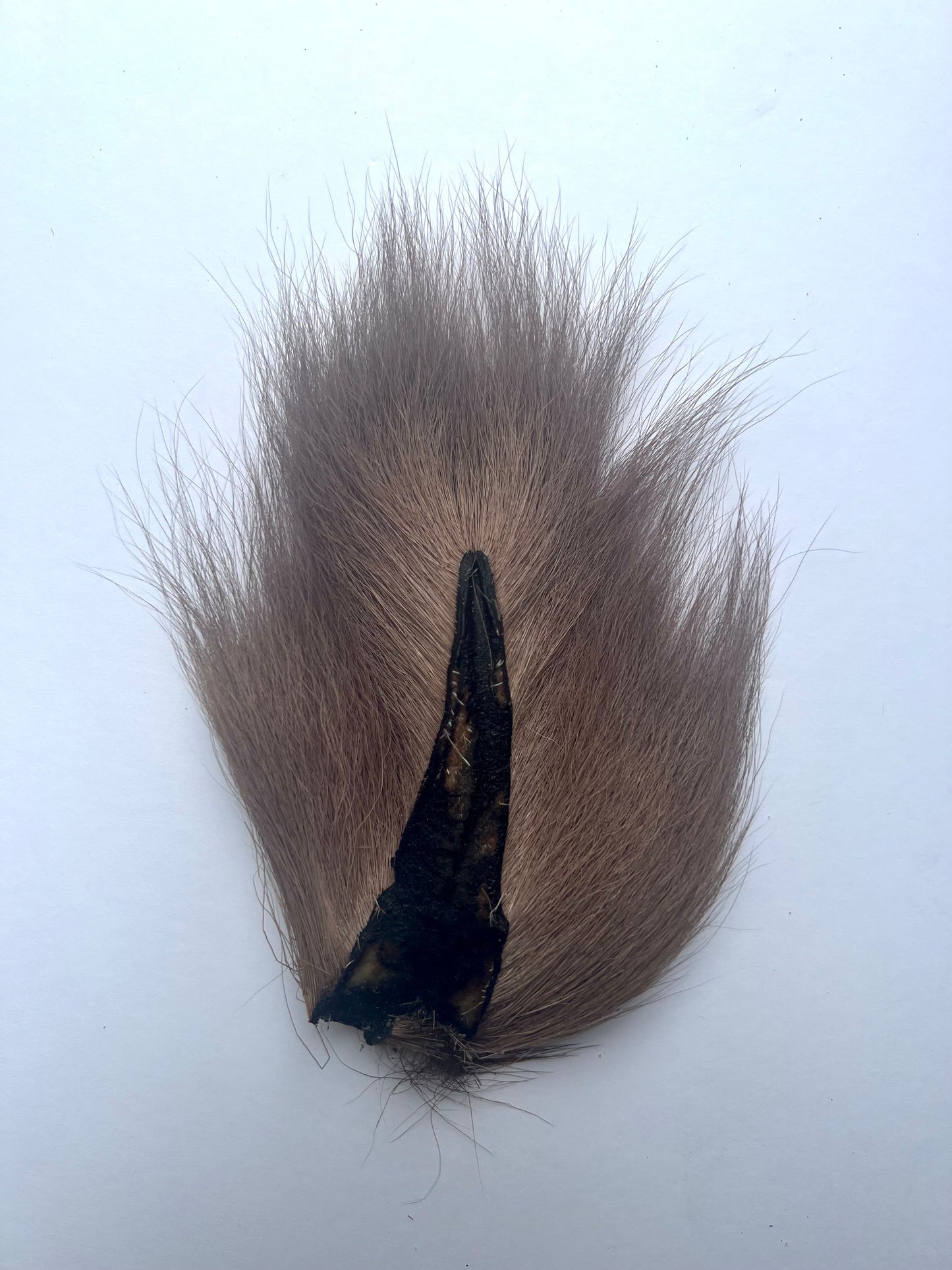 Large Bucktail Brown