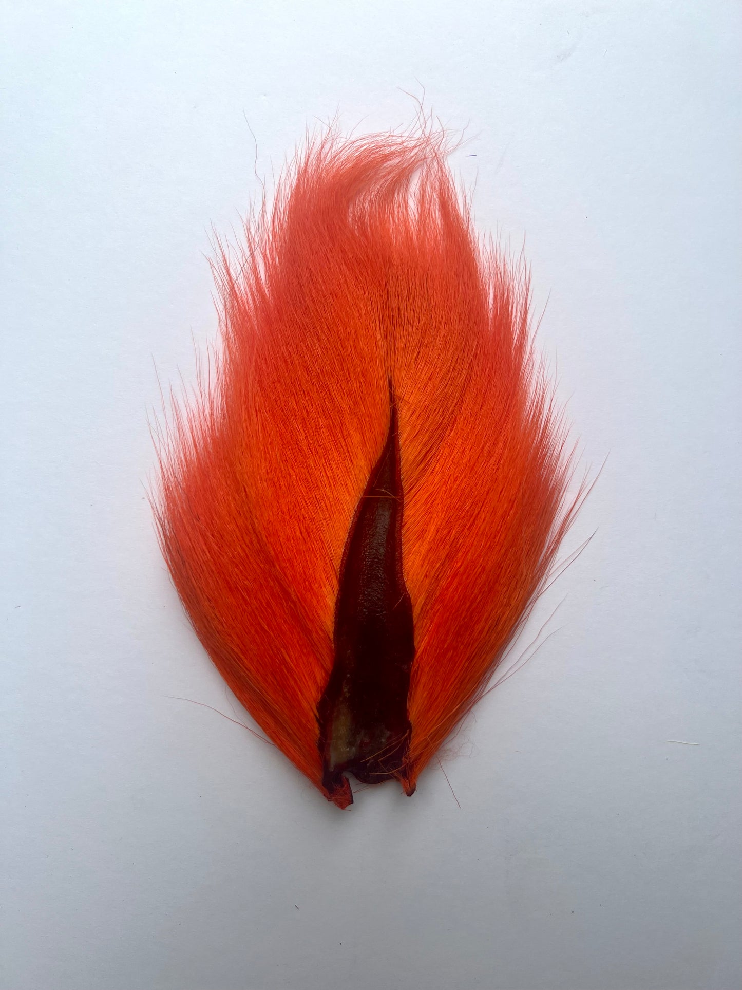 Large Bucktail Orange