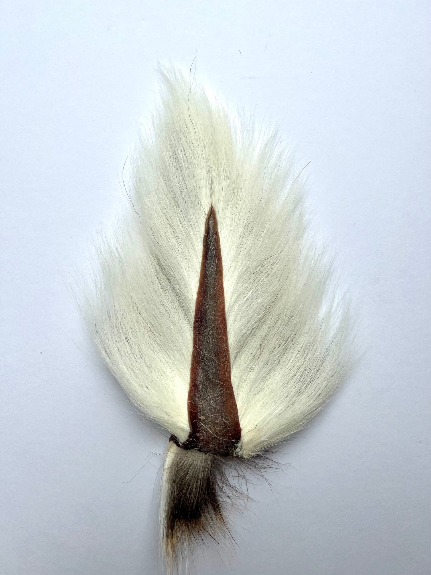 Large Bucktail White – Midwest Bucktails