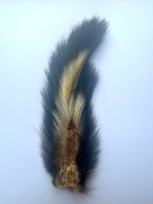 Skunk Tail